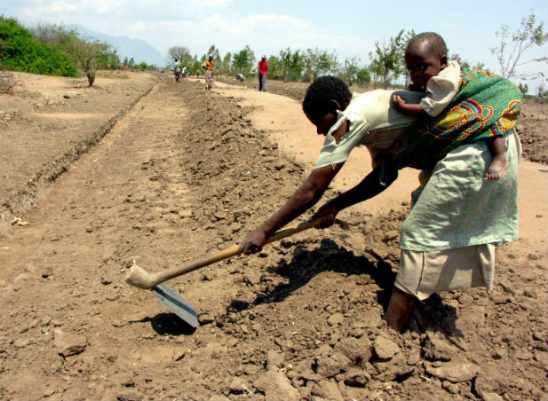 Drought in Malawi